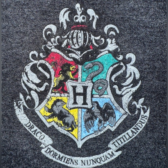 Harry Potter Hogwarts Crest Zip Hoodie Kids XL | Wizarding World Licensed - Picture 11 of 11